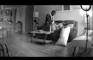 Matt & Siren Play While They Are Away!!